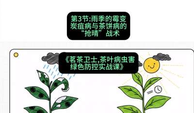 第03节：雨季的霉变&mdash;&mdash;炭疽病与茶饼病的&ldquo;抢晴&rdquo;战术，课程：《茗茶卫士&mdash;&mdash;茶叶病虫害绿色防控实战课》#识农AI