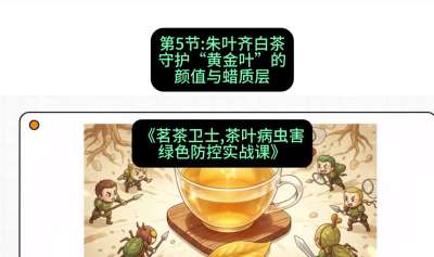 第05节：朱叶齐白茶&mdash;&mdash;守护&ldquo;黄金叶&rdquo;的颜值与蜡质层（重点），课程：《茗茶卫士&mdash;&mdash;茶叶病虫害绿色防控实战课》#识农AI