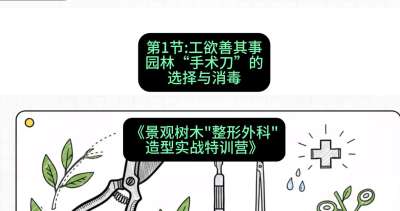 第01节：工欲善其事&mdash;&mdash;园林&ldquo;手术刀&rdquo;的选择与消毒，课程：《景观树木&ldquo;整形外科&rdquo;造型实战特训营》#识农AI