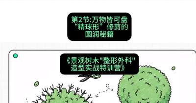 第02节：万物皆可盘&mdash;&mdash;&ldquo;精球形&rdquo;修剪的圆润秘籍，课程：《景观树木&ldquo;整形外科&rdquo;造型实战特训营》#识农AI