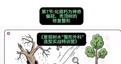 第07节：化腐朽为神奇&mdash;&mdash;偏冠、秃顶树的修复整形，课程：《景观树木&ldquo;整形外科&rdquo;造型实战特训营》#识农AI