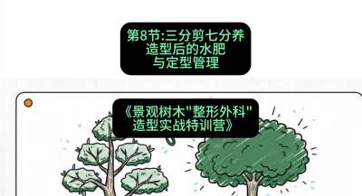 第08节：三分剪七分养&mdash;&mdash;造型后的水肥与定型管理，课程：《景观树木&ldquo;整形外科&rdquo;造型实战特训营》#识农AI