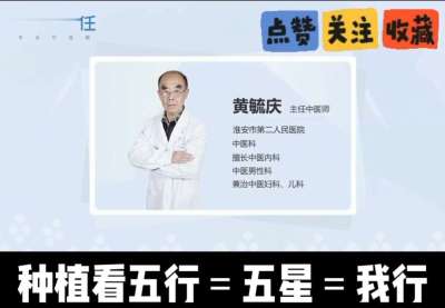 中药材淫羊藿怎么种？听专家一次讲明白！不挑地块好管理，耐寒耐旱省心省力，新手也能轻松上手，药用价值高、市场需求稳，妥妥的增收好品种～ 从生长习性到采收要点，干货满满无废话，种植疑问直接问，一对一答疑解