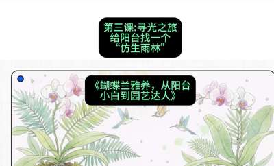 第三节：寻光之旅：给阳台找一个&ldquo;仿生雨林&rdquo;，课程：《蝴蝶兰雅养六讲：从阳台小白到园艺达人》#识农AI