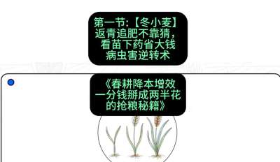 第一节：【冬小麦】返青追肥不靠猜，看苗下药省大钱