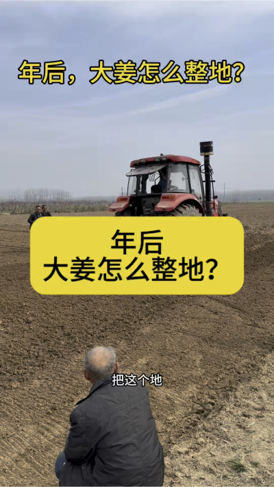 年后，大姜怎么整地？