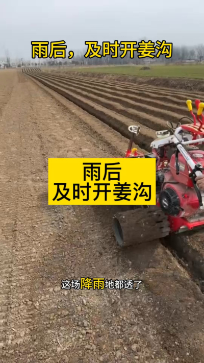 雨后，及时开姜沟！
