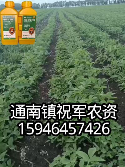 大豆苗前封闭，可封红根苋菜，灰菜，兰花菜，野豆子，捞豆秧等恶性杂草，封杀兼备的高端产品。