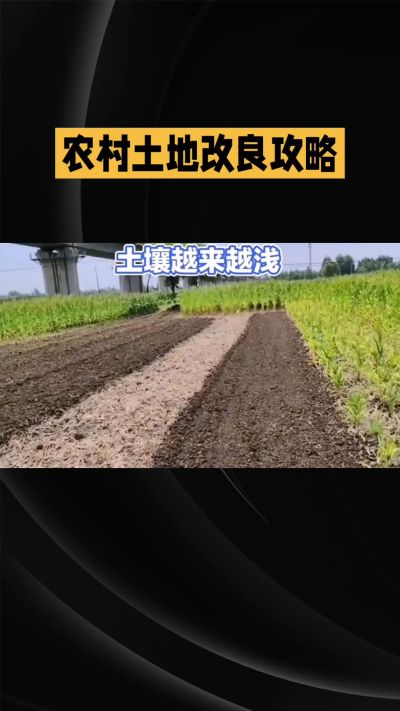1. 先搞懂：你到底要改良哪块地、种什么
 
- 土土土在哪里？
就是你自家农田、菜地、果园，哪块地想种庄稼，就测哪块地的土。
​
- 有水没有水？
有水能浇：改良更省事，施肥、调酸碱都好操作。
没水