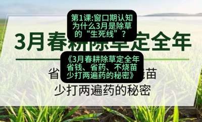 第1节：窗口期认知，为什么3月是除草的&ldquo;生死线&rdquo;？，课程：《3月春耕除草定全年：省钱、省药、不烧苗、少打两遍药的秘密》