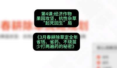 第4节：经济作物果园攻坚，抗性杂草&ldquo;起死回生&rdquo;局，课程：《3月春耕除草定全年：省钱、省药、不烧苗、少打两遍药的秘密》