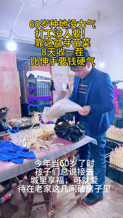 60岁的农村老人，不靠儿女靠双手：
&bull; 几间老房改芽苗棚，8天收一茬

&bull; 每天就管两次水，比种地轻松十倍

&bull; 赚的钱够花，还能帮衬孙子孙女

有人说&lsquo;年纪大了就该闲着&rsquo;，可我觉得：
能自食其力，能