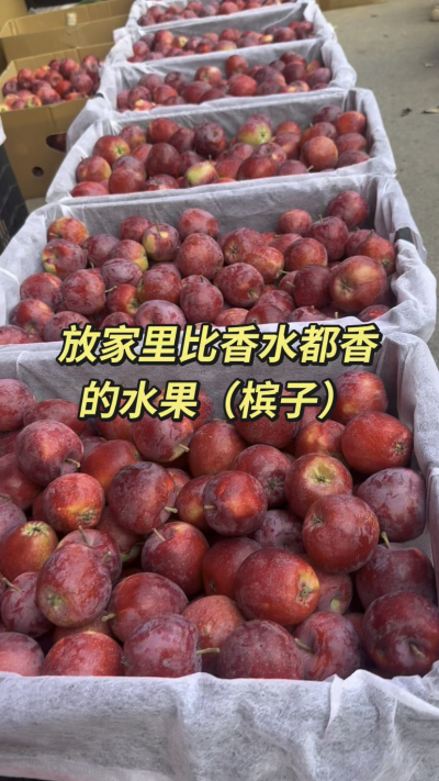槟果子，比香水都香的水果